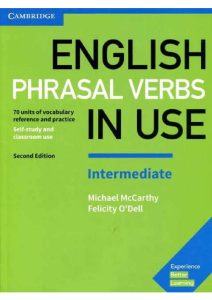 Rich Results on Google's SERP when searching for 'English Phrasal Verbs in Use Intermediate Book'