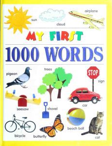 Rich Results on Google's SERP when searching for 'My First 1000 Words Book'