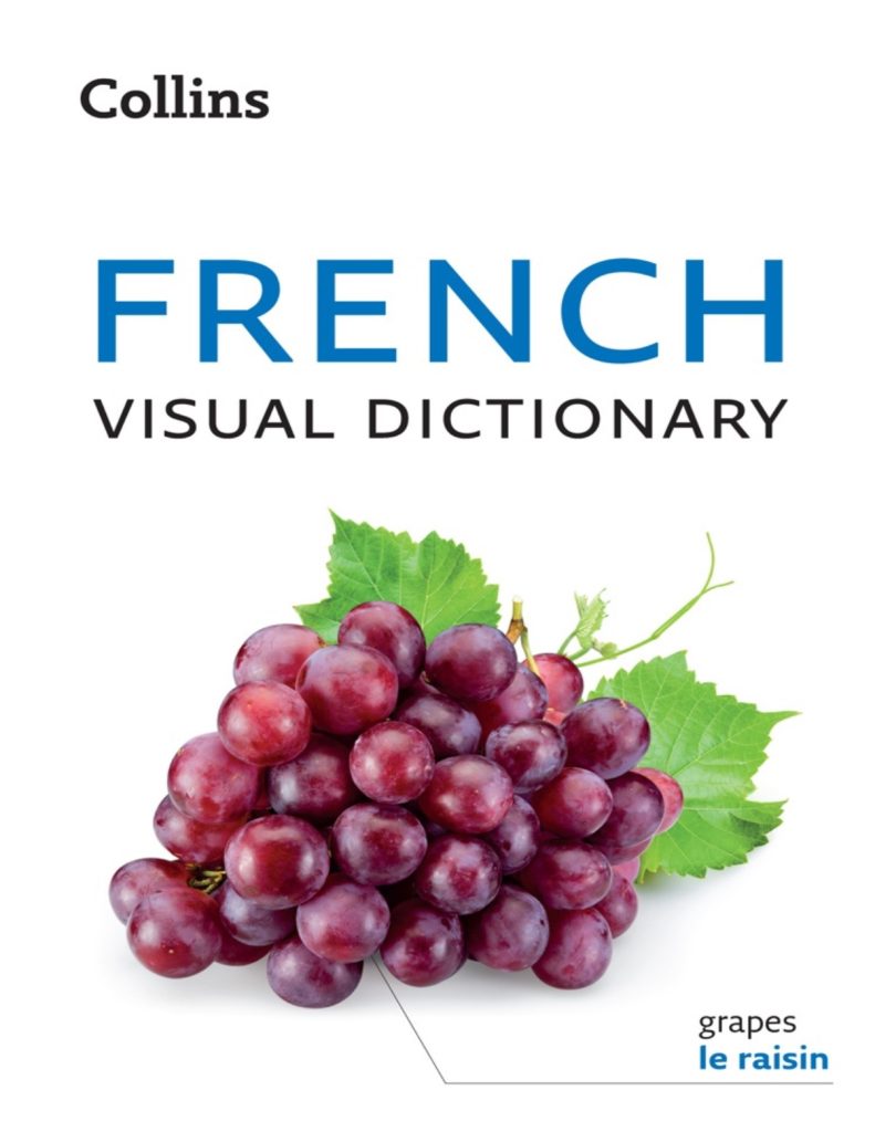 Rich Results on Google's SERP when searching for 'Collins French Visual Dictionary Collins Dictionaries'