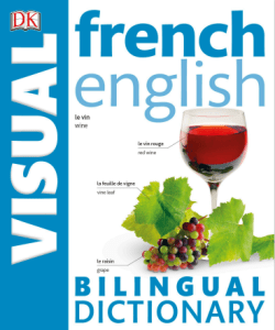 Rich Results on Google's SERP when searching for 'French English Bilingual Visual Dictionary'