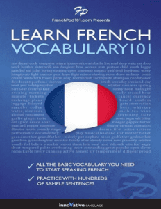 Rich Results on Google's SERP when searching for 'Learn French - Word Power 101'