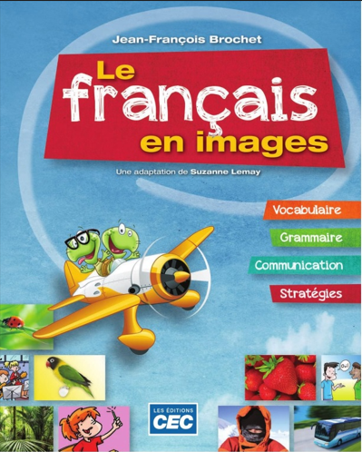Rich Results on Google's SERP when searching for 'Le français en images'