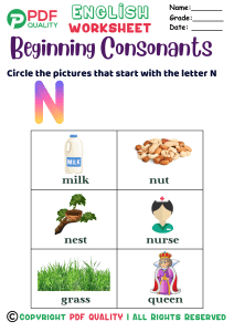 Beginning Consonants with the letter N